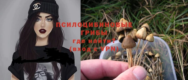 бошки Зеленокумск