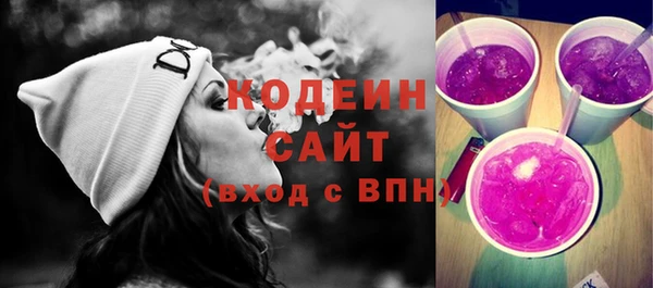 мет Инта