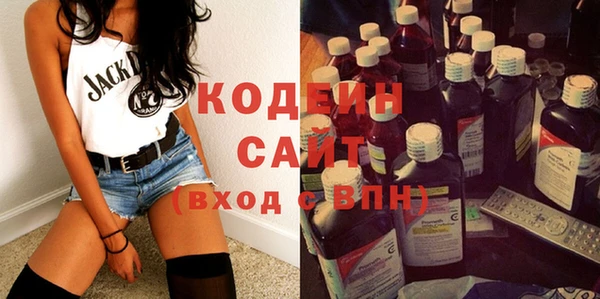 мет Инта