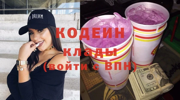 мет Инта