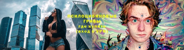 мет Инта