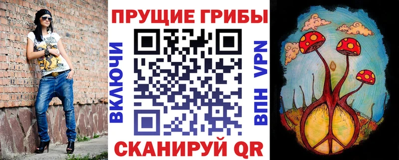 Галлюциногенные грибы Cubensis  Купить где  Дятьково 